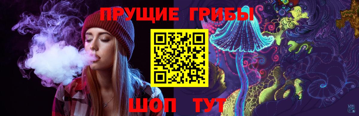 Псилоцибиновые грибы Cubensis Энгельс