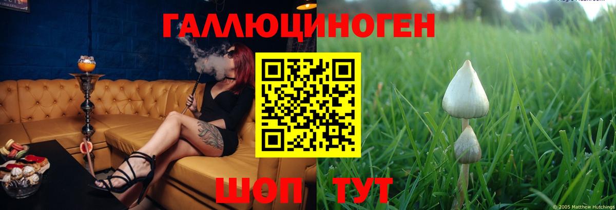 Галлюциногенные грибы Cubensis  Вход с VPN  Энгельс 